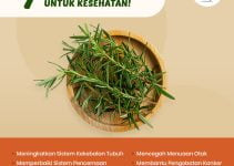 7 Manfaat Tersembunyi dari Rosemary untuk Kesehatan