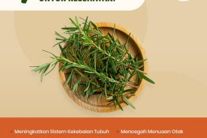 7 Manfaat Tersembunyi dari Rosemary untuk Kesehatan