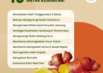 10 Rahasia Manfaat Jahe Merah Untuk Kesehatan